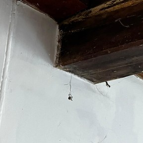 Deep Cleaning Tadley